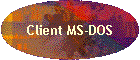 Client MS-DOS