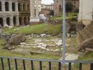 Nom del fitxer=roma (40).jpg
Mida del fitxer=166Kb
Dimensions=900x675
Data de publicació=17 de Abril de 2007 roma (40).jpg