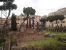 Nom del fitxer=roma (51).jpg
Mida del fitxer=139Kb
Dimensions=900x675
Data de publicació=17 de Abril de 2007 roma (51).jpg