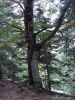 DSC03650.jpg