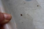 Nom del fitxer=IMG_0668.JPG
Mida del fitxer=4308Kb
Dimensions=5184x3456
Data de publicació=20 de Febrer de 2017 IMG_0668.JPG