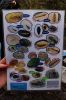 Nom del fitxer=IMG_0749.JPG
Mida del fitxer=5271Kb
Dimensions=3456x5184
Data de publicació=20 de Febrer de 2017 IMG_0749.JPG
