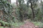 Nom del fitxer=Img_0563.jpg
Mida del fitxer=1496Kb
Dimensions=2592x1728
Data de publicació=20 de Febrer de 2017 Img_0563.jpg