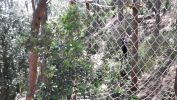 Nom del fitxer=20170508_121644.jpg
Mida del fitxer=3820Kb
Dimensions=4128x2322
Data de publicació=17 de Juny de 2017 20170508_121644.jpg