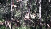 Nom del fitxer=20170508_123420.jpg
Mida del fitxer=4153Kb
Dimensions=4128x2322
Data de publicació=17 de Juny de 2017 20170508_123420.jpg