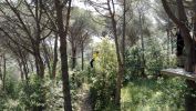 Nom del fitxer=IMG_20180523_103553.jpg
Mida del fitxer=3210Kb
Dimensions=3264x1836
Data de publicació=09 de Juny de 2018 IMG_20180523_103553.jpg