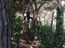 Nom del fitxer=IMG_2993.JPG
Mida del fitxer=2329Kb
Dimensions=3264x2448
Data de publicació=09 de Juny de 2018 IMG_2993.JPG