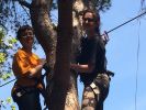 Nom del fitxer=IMG_3035.JPG
Mida del fitxer=1136Kb
Dimensions=3264x2448
Data de publicació=09 de Juny de 2018 IMG_3035.JPG