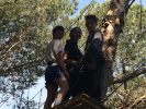 Nom del fitxer=IMG_3036.JPG
Mida del fitxer=1619Kb
Dimensions=3264x2448
Data de publicació=09 de Juny de 2018 IMG_3036.JPG
