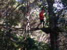 Nom del fitxer=IMG_3373.JPG
Mida del fitxer=3269Kb
Dimensions=3264x2448
Data de publicació=09 de Juny de 2018 IMG_3373.JPG