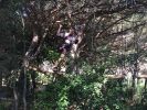 Nom del fitxer=IMG_3375.JPG
Mida del fitxer=3361Kb
Dimensions=3264x2448
Data de publicació=09 de Juny de 2018 IMG_3375.JPG