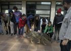 Nom del fitxer=20160314_018.jpg
Mida del fitxer=203Kb
Dimensions=1354x962
Data de publicació=22 de Març de 2016 20160314_018.jpg