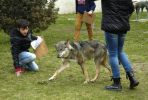 Nom del fitxer=20160314_048.JPG
Mida del fitxer=166Kb
Dimensions=793x534
Data de publicació=22 de Març de 2016 20160314_048.JPG