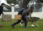 Nom del fitxer=20160314_053.JPG
Mida del fitxer=125Kb
Dimensions=689x491
Data de publicació=22 de Març de 2016 20160314_053.JPG
