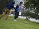 Nom del fitxer=20160314_057.JPG
Mida del fitxer=1001Kb
Dimensions=1137x845
Data de publicació=22 de Març de 2016 20160314_057.JPG