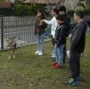 Nom del fitxer=20160314_067.JPG
Mida del fitxer=373Kb
Dimensions=543x536
Data de publicació=22 de Març de 2016 20160314_067.JPG