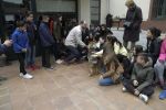 Nom del fitxer=20160315_114.JPG
Mida del fitxer=169Kb
Dimensions=1003x667
Data de publicació=22 de Març de 2016 20160315_114.JPG