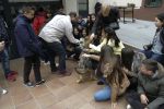 Nom del fitxer=20160315_118.JPG
Mida del fitxer=261Kb
Dimensions=1504x1000
Data de publicació=22 de Març de 2016 20160315_118.JPG