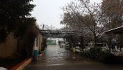 Nom del fitxer=20180228_101109.jpg
Mida del fitxer=1983Kb
Dimensions=2560x1440
Data de publicació=28 de Febrer de 2018 20180228_101109.jpg
