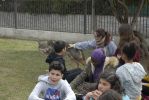 Nom del fitxer=20180319_126.JPG
Mida del fitxer=4032Kb
Dimensions=3872x2592
Data de publicació=22 de Març de 2018 20180319_126.JPG