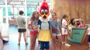 Nom del fitxer=IMG-20170614-WA0047.jpg
Mida del fitxer=218Kb
Dimensions=1600x898
Data de publicació=17 de Juny de 2017 IMG-20170614-WA0047.jpg
