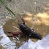 Nom del fitxer=IMG_0181.JPG
Mida del fitxer=2332Kb
Dimensions=2448x2448
Data de publicació=14 de Juny de 2018 IMG_0181.JPG