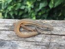 Nom del fitxer=IMG_0252.JPG
Mida del fitxer=2691Kb
Dimensions=3264x2448
Data de publicació=16 de Juny de 2018 IMG_0252.JPG