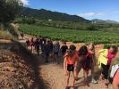 Nom del fitxer=IMG_1123.JPG
Mida del fitxer=3444Kb
Dimensions=3264x2448
Data de publicació=16 de Juny de 2016 IMG_1123.JPG