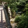 Nom del fitxer=20170613_160903.jpg
Mida del fitxer=3041Kb
Dimensions=2160x2160
Data de publicació=21 de Juny de 2017 20170613_160903.jpg