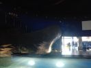 Nom del fitxer=IMG_20161221_113033.jpg
Mida del fitxer=3596Kb
Dimensions=4160x3120
Data de publicació=16 de Gener de 2017 IMG_20161221_113033.jpg