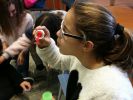 Nom del fitxer=IMG_20171103_081649.jpg
Mida del fitxer=2792Kb
Dimensions=3968x2976
Data de publicació=19 de Maig de 2018 IMG_20171103_081649.jpg