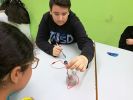 Nom del fitxer=IMG_20171215_130918.jpg
Mida del fitxer=2898Kb
Dimensions=4160x3120
Data de publicació=12 de Gener de 2018 IMG_20171215_130918.jpg