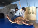 Nom del fitxer=IMG_3951.JPG
Mida del fitxer=2053Kb
Dimensions=3264x2448
Data de publicació=16 de Gener de 2017 IMG_3951.JPG