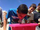 Nom del fitxer=IMG_5229.JPG
Mida del fitxer=2098Kb
Dimensions=3264x2448
Data de publicació=21 de Juny de 2016 IMG_5229.JPG