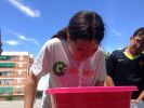 Nom del fitxer=IMG_5233.JPG
Mida del fitxer=1994Kb
Dimensions=3264x2448
Data de publicació=21 de Juny de 2016 IMG_5233.JPG