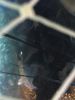 Nom del fitxer=Img_3952.jpg
Mida del fitxer=1099Kb
Dimensions=2448x3264
Data de publicació=16 de Gener de 2017 Img_3952.jpg