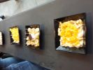 Nom del fitxer=20161122_113603.jpg
Mida del fitxer=2007Kb
Dimensions=3264x2448
Data de publicació=02 de Desembre de 2016 20161122_113603.jpg