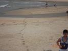 Nom del fitxer=DSCN1200.JPG
Mida del fitxer=2763Kb
Dimensions=4000x3000
Data de publicació=22 de Juny de 2016 DSCN1200.JPG