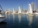 Nom del fitxer=IMG_0739.JPG
Mida del fitxer=2617Kb
Dimensions=3264x2448
Data de publicació=01 de Juny de 2017 IMG_0739.JPG