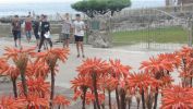 Nom del fitxer=IMG_5316.JPG
Mida del fitxer=2181Kb
Dimensions=4000x2248
Data de publicació=22 de Juny de 2016 IMG_5316.JPG