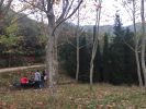 Nom del fitxer=IMG_3364.JPG
Mida del fitxer=3575Kb
Dimensions=3264x2448
Data de publicació=13 de Novembre de 2016 IMG_3364.JPG