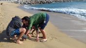 Nom del fitxer=20161118_111045.jpg
Mida del fitxer=1176Kb
Dimensions=3264x1836
Data de publicació=05 de Desembre de 2016 20161118_111045.jpg