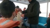 Nom del fitxer=IMG-20170223-WA0010.jpg
Mida del fitxer=102Kb
Dimensions=1344x760
Data de publicació=03 de Març de 2017 IMG-20170223-WA0010.jpg