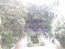 Nom del fitxer=20160316_111731.jpg
Mida del fitxer=2563Kb
Dimensions=2560x1920
Data de publicació=17 de Març de 2016 20160316_111731.jpg