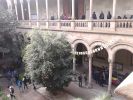 Nom del fitxer=20160316_111735.jpg
Mida del fitxer=2502Kb
Dimensions=2560x1920
Data de publicació=17 de Març de 2016 20160316_111735.jpg