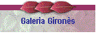 Galeria Girons