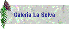 Galeria La Selva