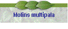 Molins multipala