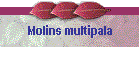 Molins multipala