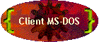 Client MS-DOS